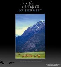 ELK GRAZING IN ROCKY MOUNTAIN NATIONAL PARK